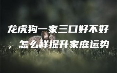 龙虎狗一家三口好不好，怎么样提升家庭运势