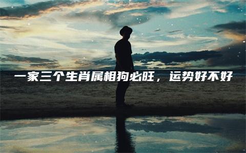 一家三个生肖属相狗必旺，运势好不好