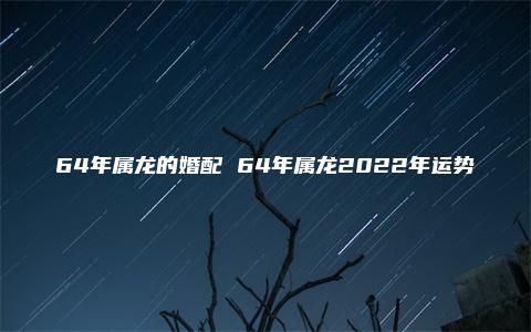 64年属龙的婚配 64年属龙2022年运势