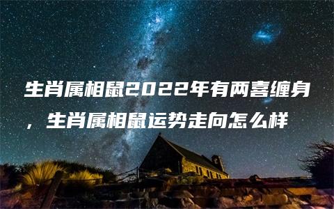 生肖属相鼠2022年有两喜缠身，生肖属相鼠运势走向怎么样