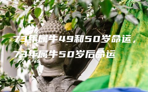 73年属牛49和50岁命运，73年属牛50岁后命运