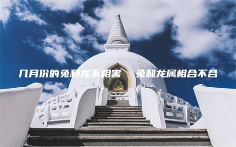 几月份的兔和龙不相害  兔和龙属相合不合