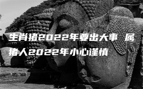 生肖猪2022年要出大事 属猪人2022年小心谨慎