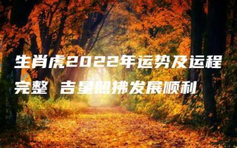 生肖虎2022年运势及运程完整 吉星照拂发展顺利