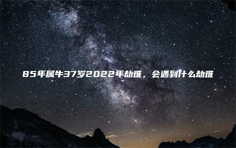 85年属牛37岁2022年劫难，会遇到什么劫难