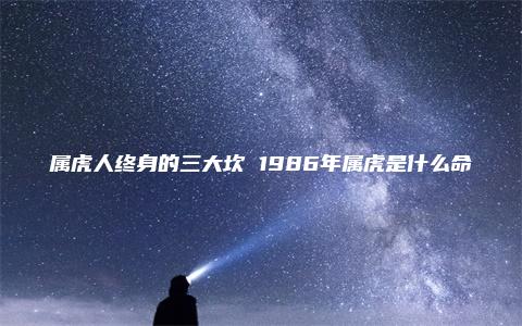 属虎人终身的三大坎 1986年属虎是什么命