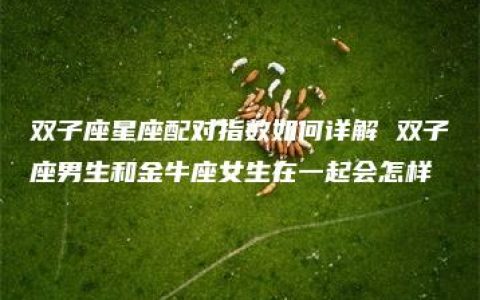 双子座星座配对指数如何详解 双子座男生和金牛座女生在一起会怎样