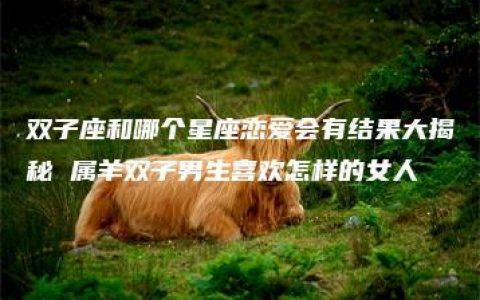 双子座和哪个星座恋爱会有结果大揭秘 属羊双子男生喜欢怎样的女人