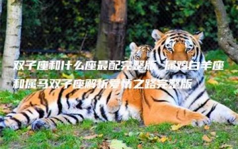 双子座和什么座最配完整版 属鸡白羊座和属马双子座解析爱情之路完整版