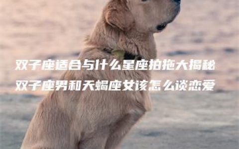 双子座适合与什么星座拍拖大揭秘 双子座男和天蝎座女该怎么谈恋爱