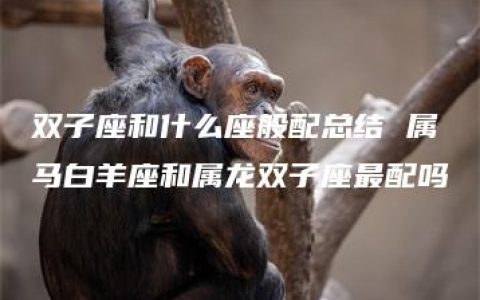 双子座和什么座般配总结 属马白羊座和属龙双子座最配吗