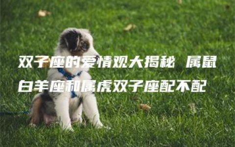 双子座的爱情观大揭秘 属鼠白羊座和属虎双子座配不配