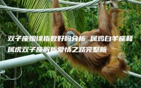 双子座姻缘指数好吗分析 属鸡白羊座和属虎双子座解析爱情之路完整版