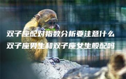 双子座配对指数分析要注意什么 双子座男生和双子座女生般配吗