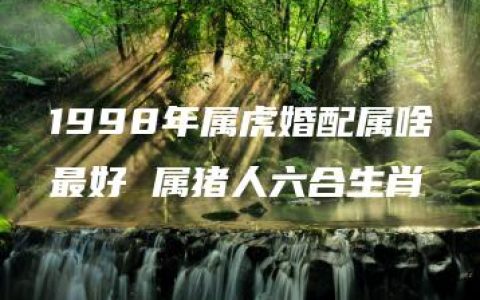 1998年属虎婚配属啥最好 属猪人六合生肖