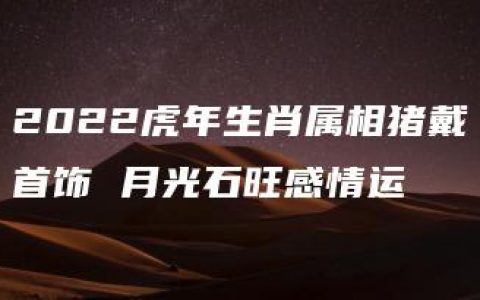 2022虎年生肖属相猪戴首饰 月光石旺感情运