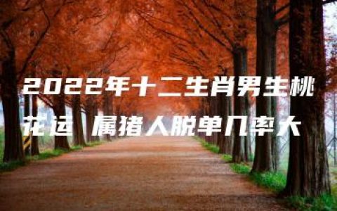 2022年十二生肖男生桃花运 属猪人脱单几率大