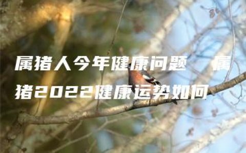 属猪人今年健康问题  属猪2022健康运势如何