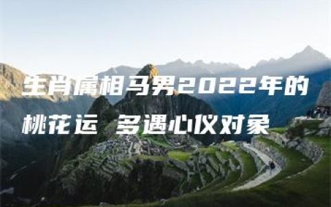 生肖属相马男2022年的桃花运 多遇心仪对象