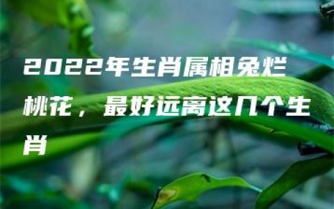 2022年生肖属相兔烂桃花，最好远离这几个生肖