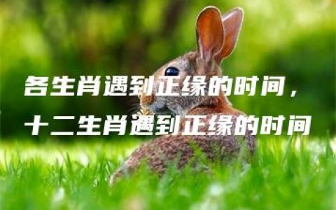 各生肖遇到正缘的时间，十二生肖遇到正缘的时间