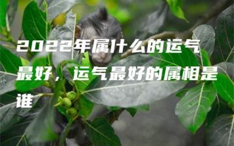 2022年属什么的运气最好，运气最好的属相是谁