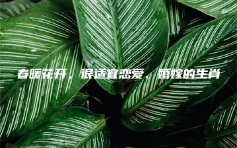 春暖花开，很适宜恋爱、婚嫁的生肖