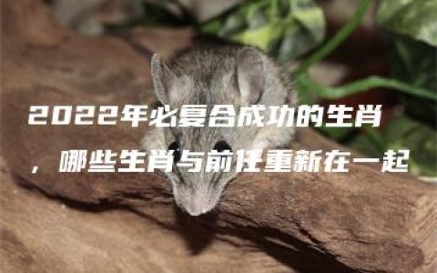 2022年必复合成功的生肖，哪些生肖与前任重新在一起