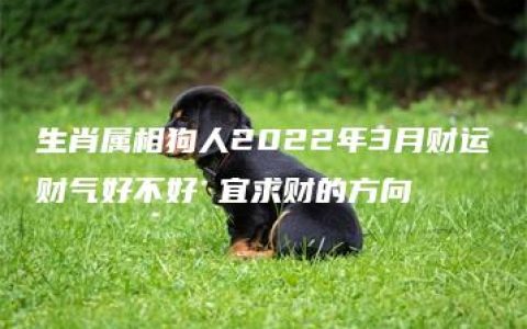 生肖属相狗人2022年3月财运财气好不好 宜求财的方向