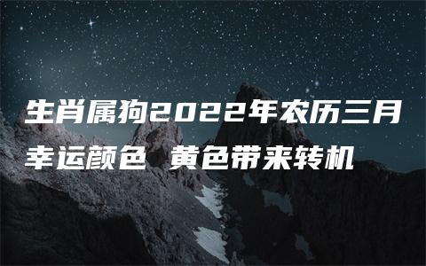 生肖属狗2022年农历三月幸运颜色 黄色带来转机