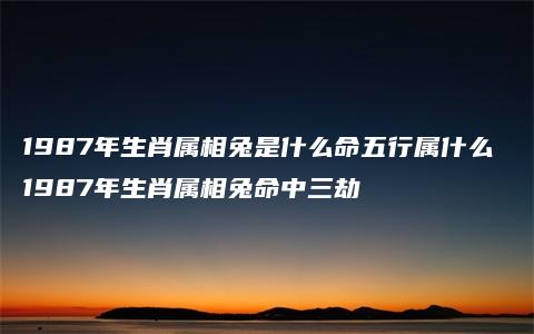 1987年生肖属相兔是什么命五行属什么 1987年生肖属相兔命中三劫