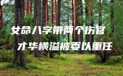 女命八字带两个伤官  才华横溢被委以重任