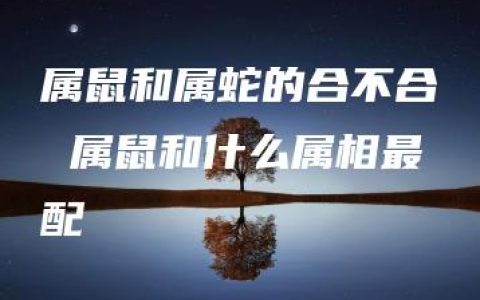 属鼠和属蛇的合不合 属鼠和什么属相最配