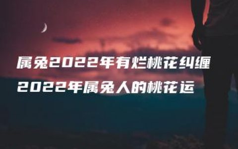 属兔2022年有烂桃花纠缠 2022年属兔人的桃花运