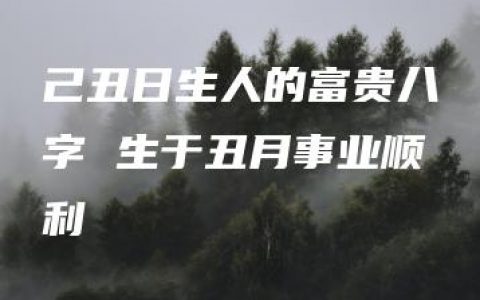 己丑日生人的富贵八字 生于丑月事业顺利