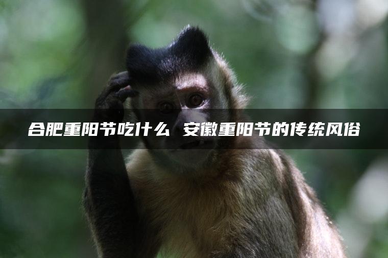 合肥重阳节吃什么 安徽重阳节的传统风俗
