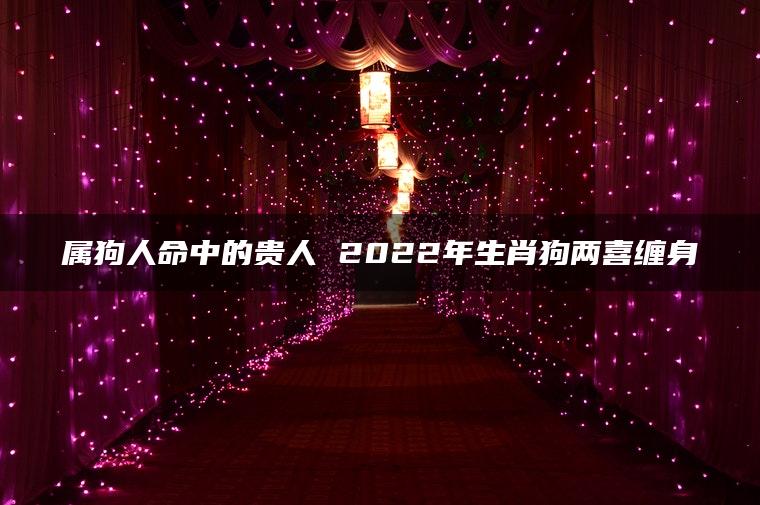 属狗人命中的贵人 2022年生肖狗两喜缠身