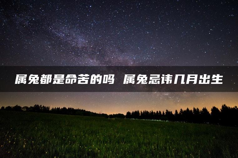 属兔都是命苦的吗 属兔忌讳几月出生