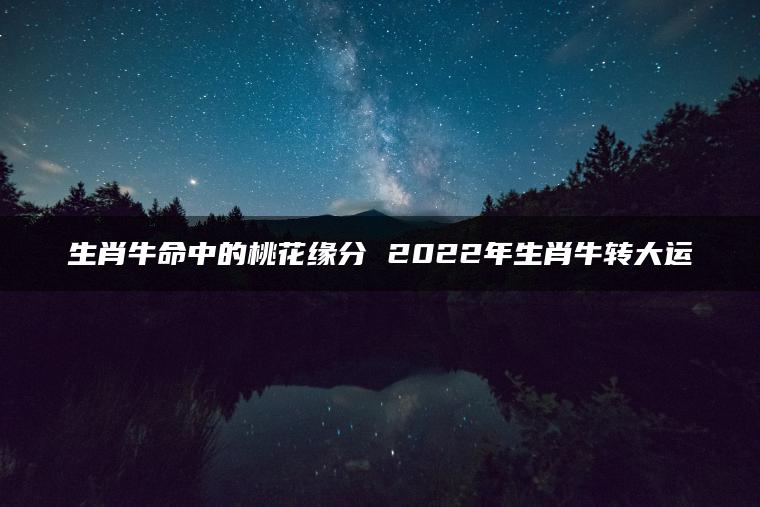 生肖牛命中的桃花缘分 2022年生肖牛转大运