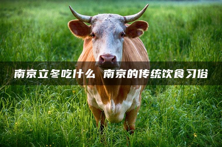 南京立冬吃什么 南京的传统饮食习俗