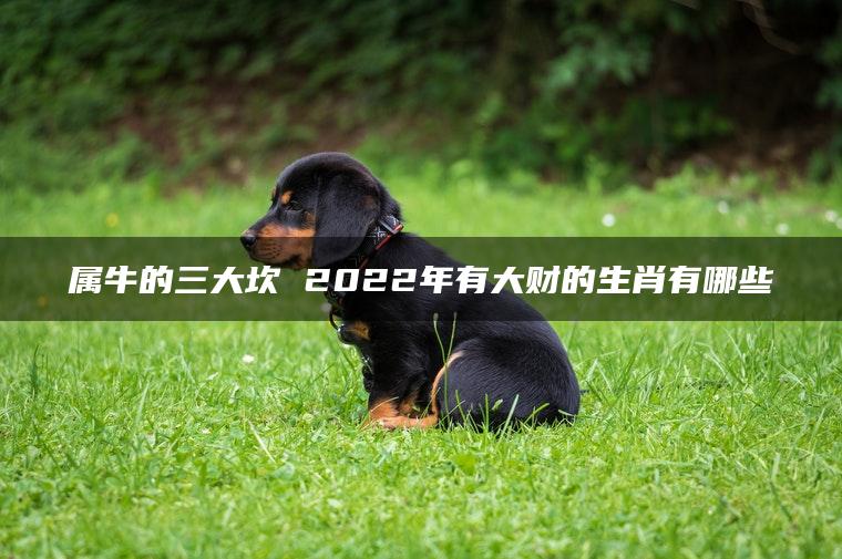 属牛的三大坎 2022年有大财的生肖有哪些