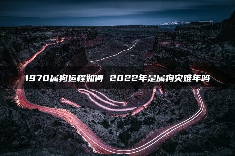 1970属狗运程如何 2022年是属狗灾难年吗