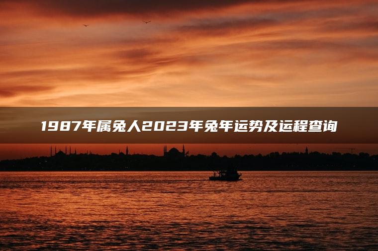 1987年属兔人2023年兔年运势及运程查询