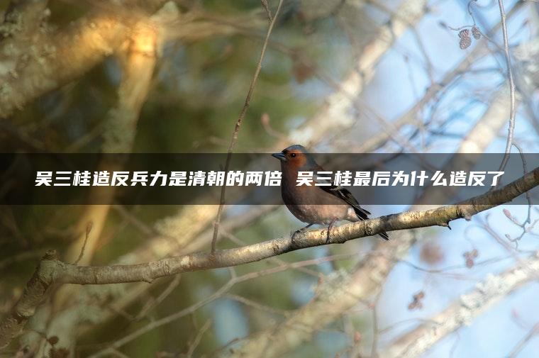 吴三桂造反兵力是清朝的两倍 吴三桂最后为什么造反了