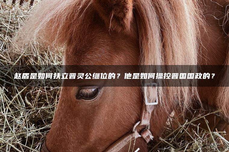 赵盾是如何扶立晋灵公继位的？他是如何操控晋国国政的？