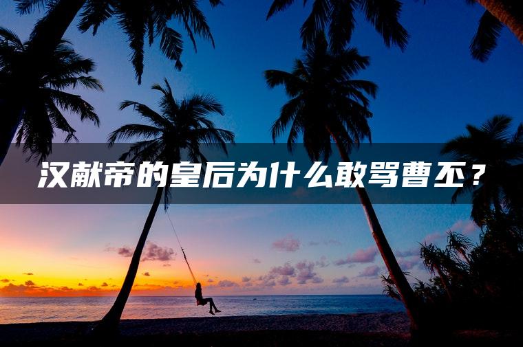 汉献帝的皇后为什么敢骂曹丕？