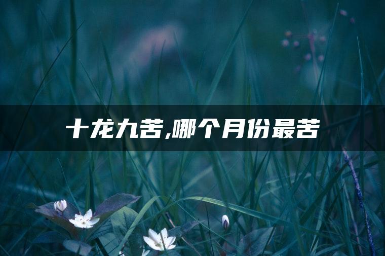 十龙九苦,哪个月份最苦