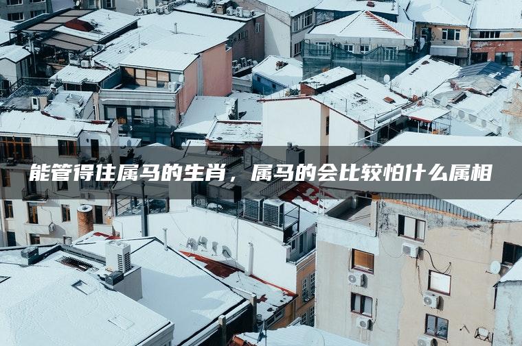 能管得住属马的生肖，属马的会比较怕什么属相