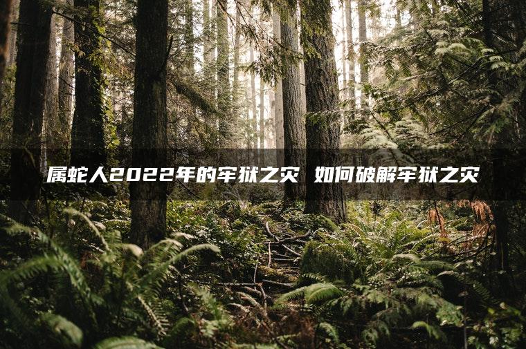 属蛇人2022年的牢狱之灾 如何破解牢狱之灾