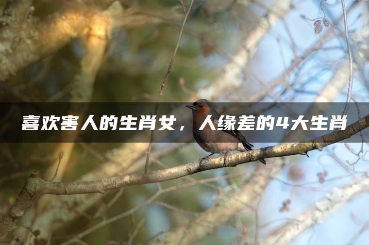 喜欢害人的生肖女，人缘差的4大生肖